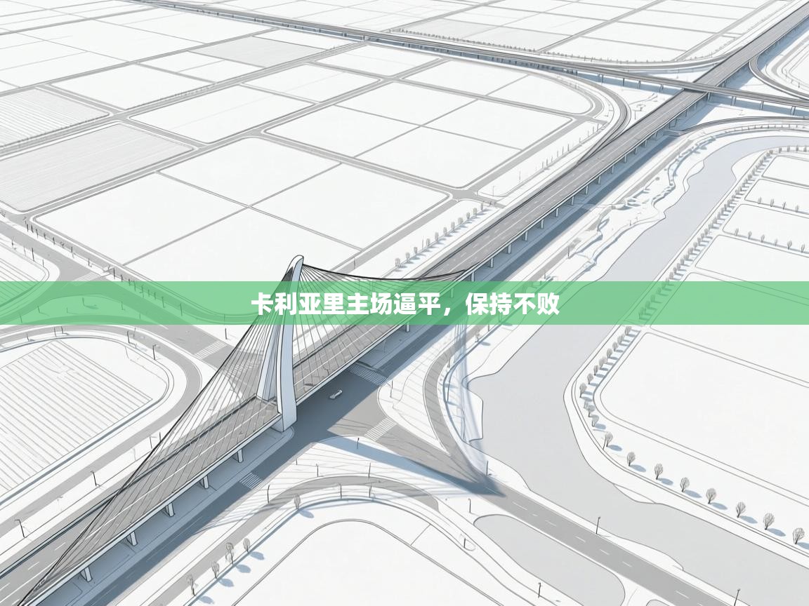 卡利亚里主场逼平,保持不败 第1张