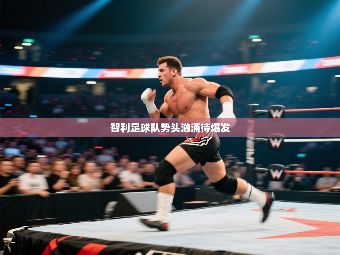 智利足球队势头汹涌待爆发  第2张