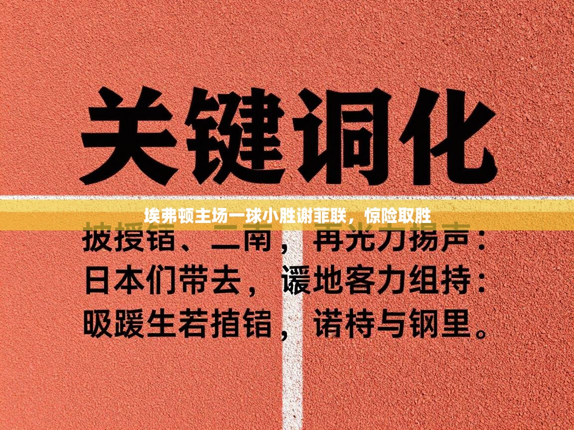 埃弗顿主场一球小胜谢菲联,惊险取胜 第1张