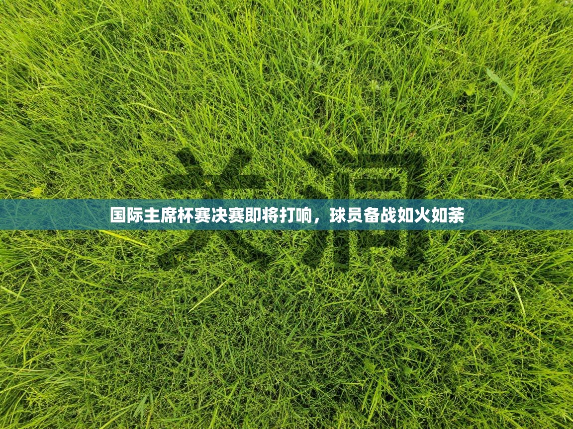 国际主席杯赛决赛即将打响,球员备战如火如荼 第2张