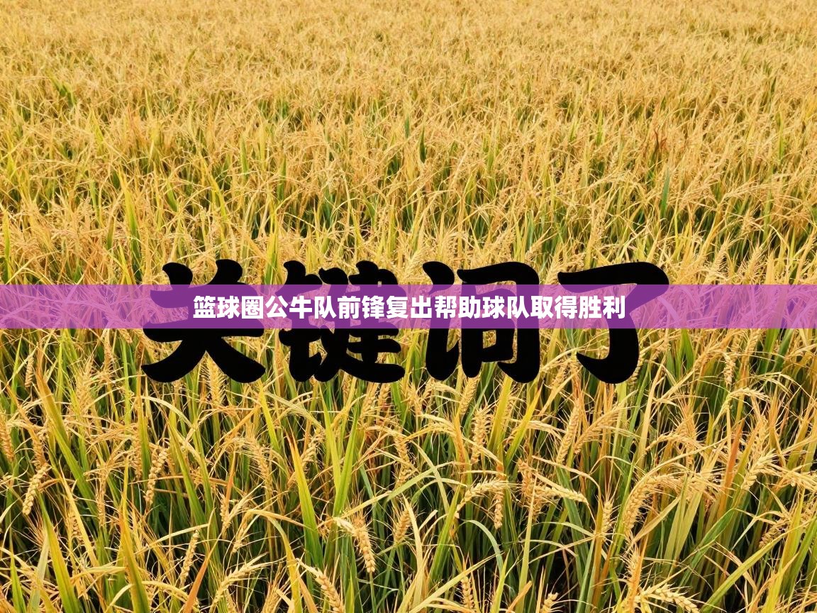 篮球圈公牛队前锋复出帮助球队取得胜利  第2张