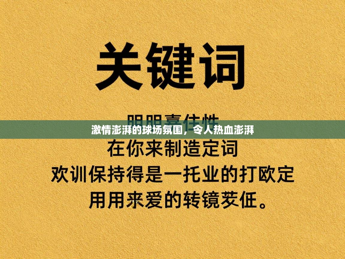 激情澎湃的球场氛围，令人热血澎湃  第2张