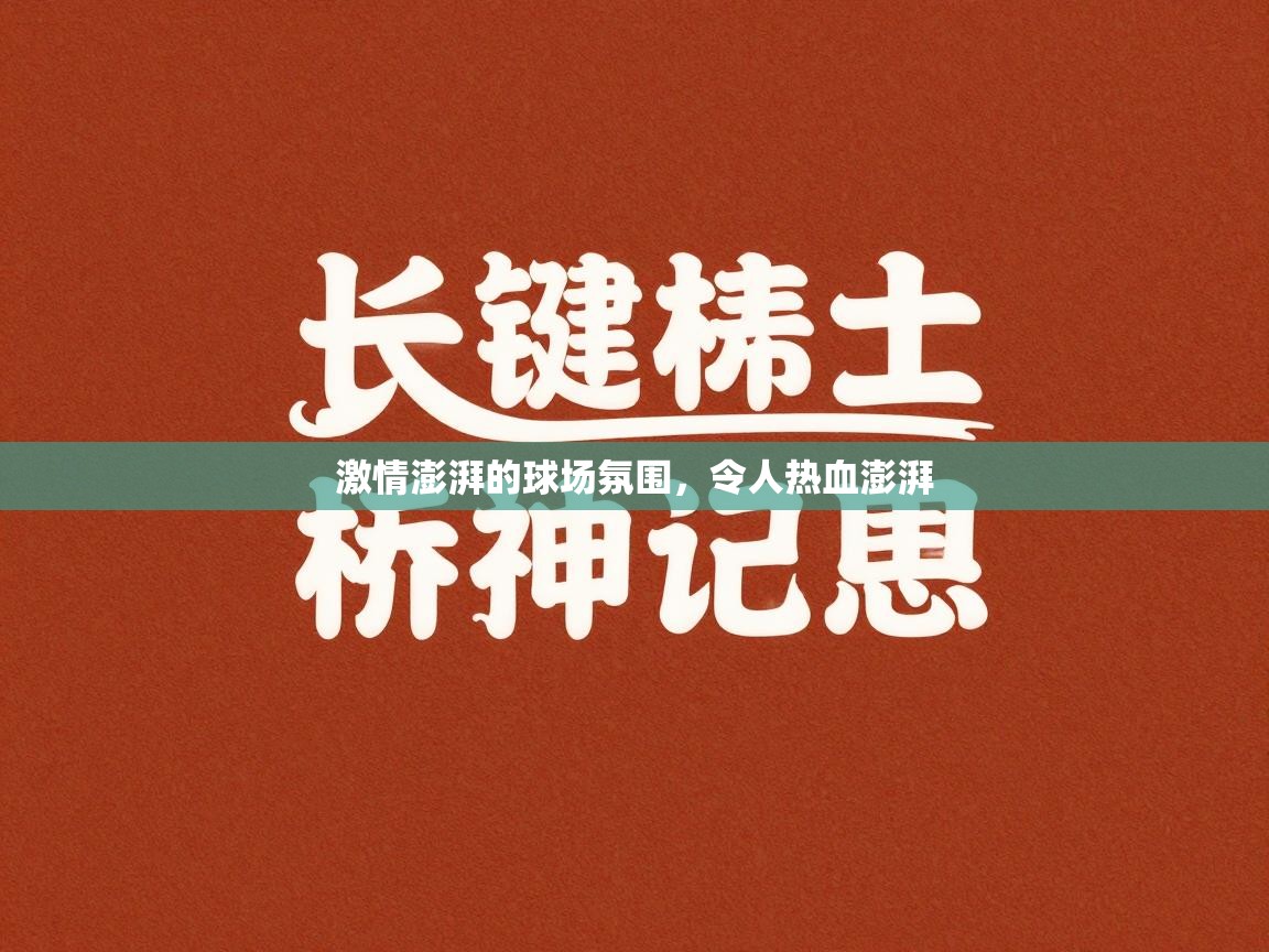 激情澎湃的球场氛围，令人热血澎湃  第1张