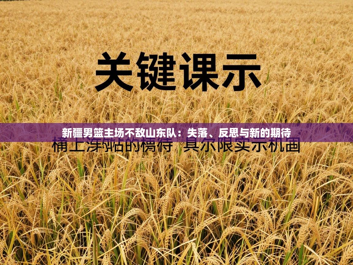 新疆男篮主场不敌山东队：失落、反思与新的期待  第1张