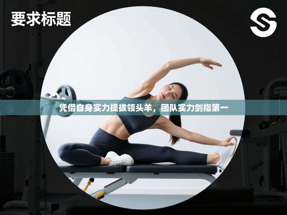 凭借自身实力提拔领头羊，团队实力剑指第一  第2张